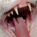 sighofthetimes avatar