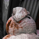 sightsofseddon avatar