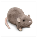 sigma-rat-blog avatar