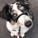 sign-language-gettin-handsy avatar