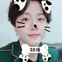 signaltaeil-blog avatar