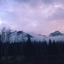 signodinterrogacion avatar