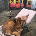 signofthegypsyqueen007 avatar