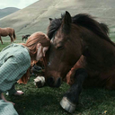 siirgokyuzuvedeniz avatar