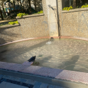 sila-deadblood avatar