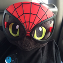 silathenightfury avatar