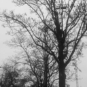 silence-has-been-killing-you avatar