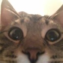 silencedsarcasm avatar