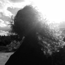 silencionavoz avatar