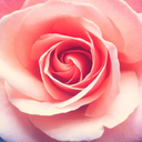 silent--sinner avatar