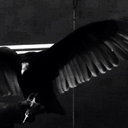 silent-dissonance avatar