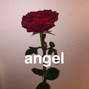 silent-ly-scream-ing-blog avatar