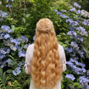 silent-springs avatar