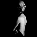 silentbeauties avatar