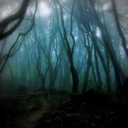 silentflute-silverthread avatar