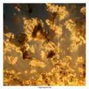 silentiumfabrum avatar