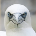 silentletterwords avatar