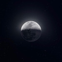 silently-we-dream avatar