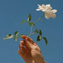 silentmistress001 avatar