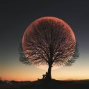 silentraindropsfell avatar