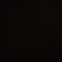 silentsuiciderooms avatar