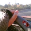 silentsunshine avatar