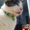 silentxpistols avatar