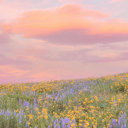 silhouette-sky avatar