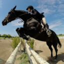 silhouettes-and-spurs avatar