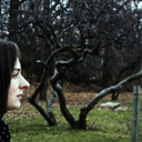 silhouettesunsets avatar