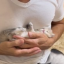 siliconebones avatar