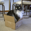 silk-over-steel avatar