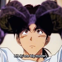 silkendandelion avatar