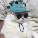 silknscribbles avatar