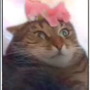 silkysmoothpurfume avatar