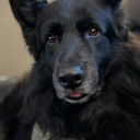 silliestbilliest avatar