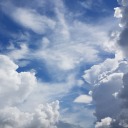 silliestgo0se avatar