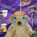 silliestofthesillies avatar