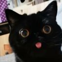 silly-brainworms avatar