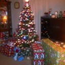 silly-fox-and-its-stuffies avatar