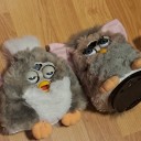 silly-furbies-and-homestuck avatar