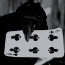 silly-gay-crow avatar