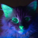 silly-kitty-101 avatar