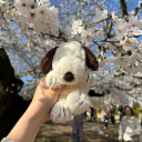 silly-lili-things avatar