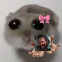 silly-little-guy-and-co avatar