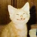 sillyballoonjole avatar