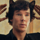 sillygirlsmindpalace avatar