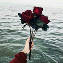 sillygirlthings-world avatar