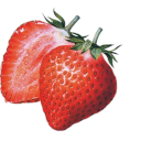 sillylilartlover avatar