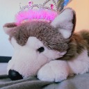 sillypuppyprinceps avatar